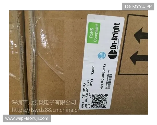 昂宝电子官网最新产品介绍与详细功能解析，助您全面了解企业创新解决方案